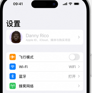 潮南appleID维修服务iPhone设置中Apple ID显示为灰色无法使用