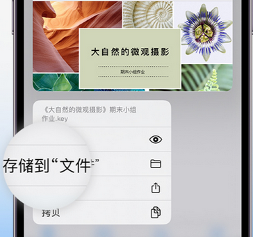 潮南apple维修中心分享iPhone文件应用中存储和找到下载文件