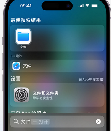 潮南apple维修中心分享iPhone文件应用中存储和找到下载文件 