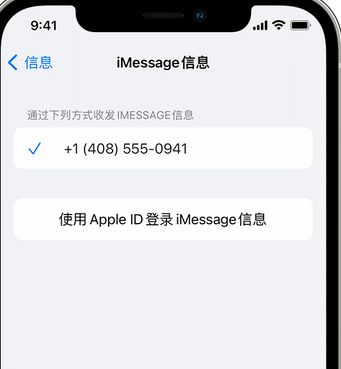 潮南apple维修iPhone上无法正常发送iMessage信息 