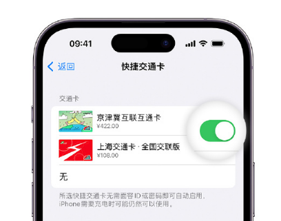 潮南apple维修点分享iPhone上更换Apple Pay快捷交通卡手绘卡面 