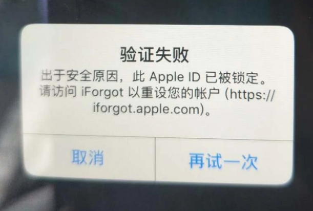 潮南iPhone维修分享iPhone上正常登录或使用AppleID怎么办 