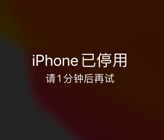 潮南苹果手机维修分享:iPhone 显示“不可用”或“已停用”怎么办？还能保留数据吗？ 