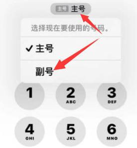 潮南苹果14维修店分享iPhone 14 Pro Max使用副卡打电话的方法 