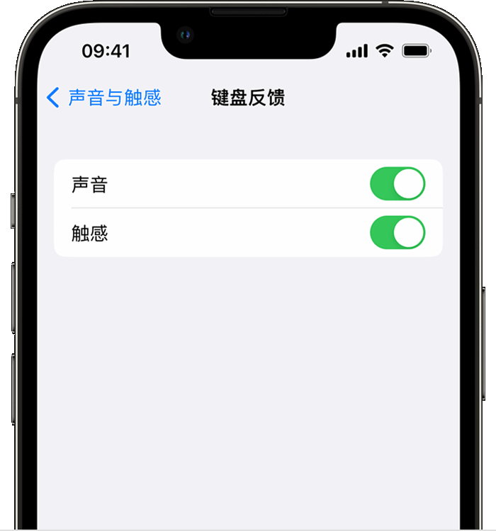 潮南苹果14维修分享iPhone 14 系列机型如何开启键盘声音或触感反馈 