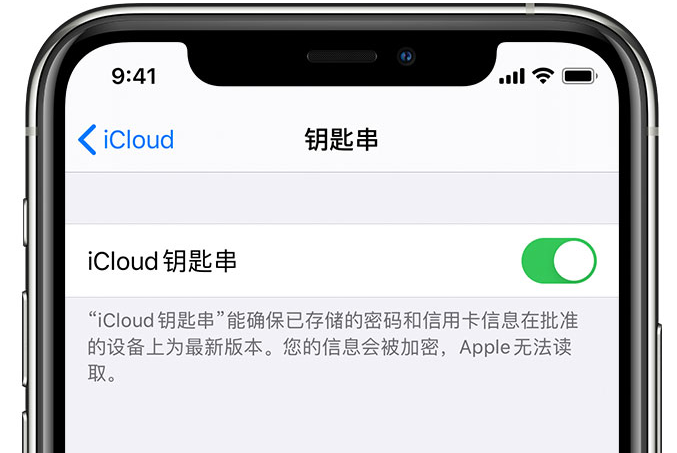 潮南苹果手机维修分享在 iPhone 上开启 iCloud 钥匙串之后会储存哪些信息 