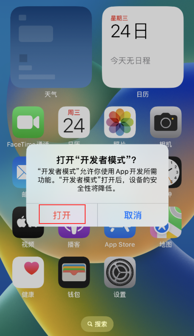 潮南苹果手机维修分享如何打开开发者模式 