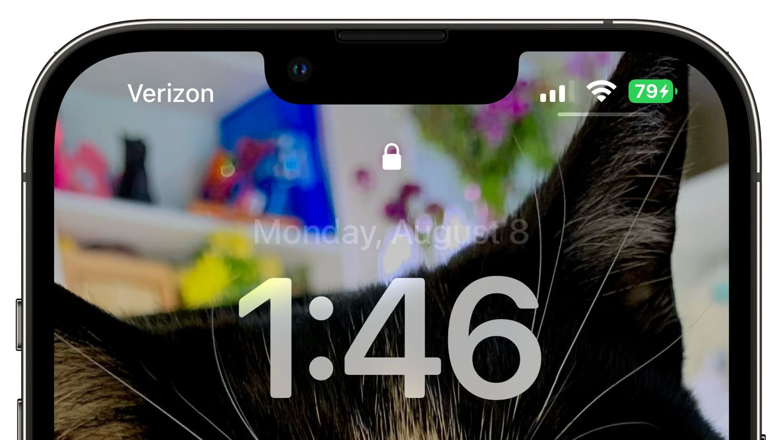 潮南苹果手机维修分享iOS 16 beta 5 支持状态栏显示电池百分比，如何开启？支持哪些机型 
