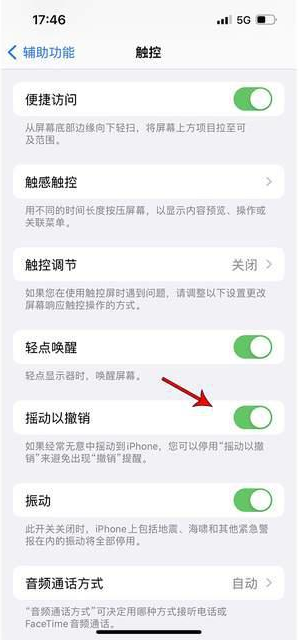 潮南苹果手机维修分享iPhone手机如何设置摇一摇删除文字 