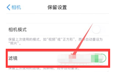 潮南苹果13维修分享iPhone13拍照有绿点是怎么回事 