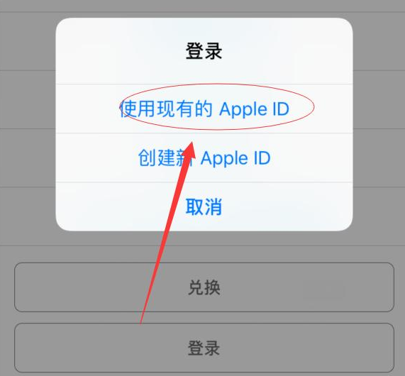 潮南苹果手机维修分享两台iPhone设备可以同时登录一个Apple ID吗 