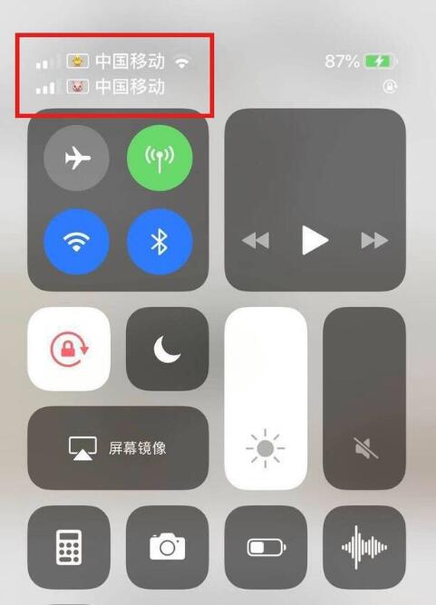 潮南苹果手机维修分享为 iPhone 12 双卡设置标签 